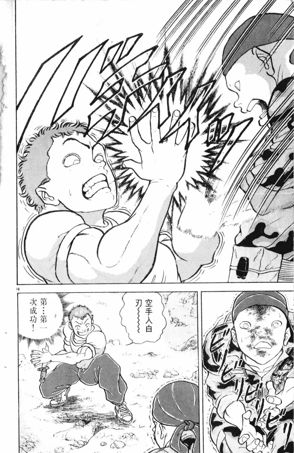 第16卷 第83页