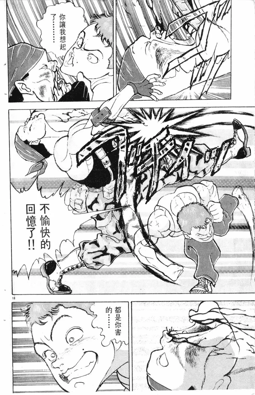 第16卷 第105页