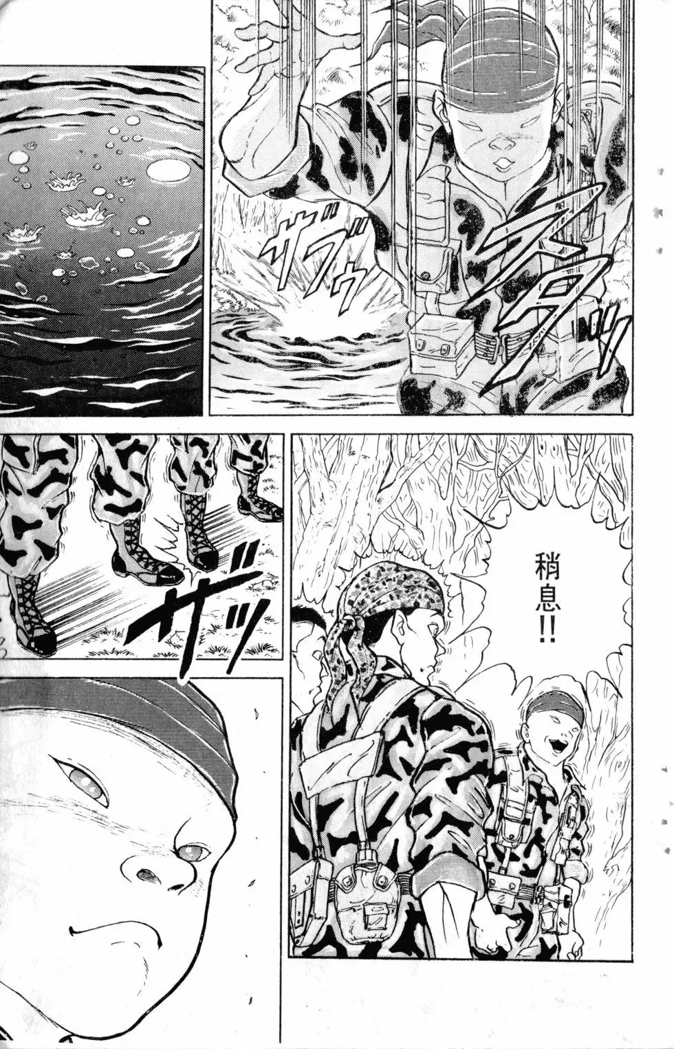 第16卷 第196页