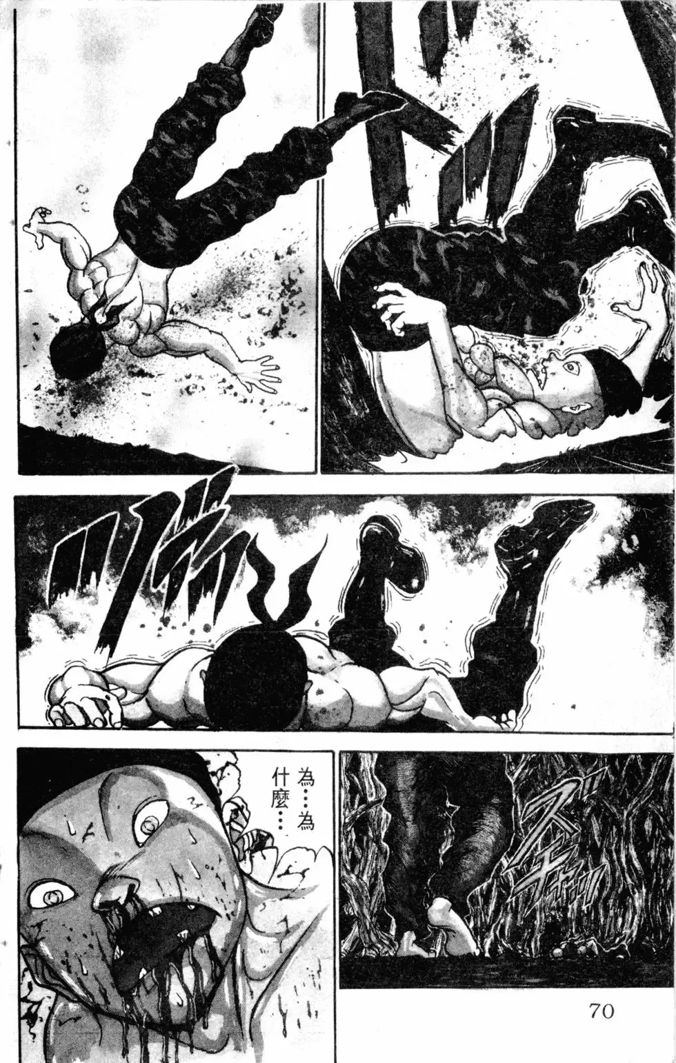 第17卷 第71页
