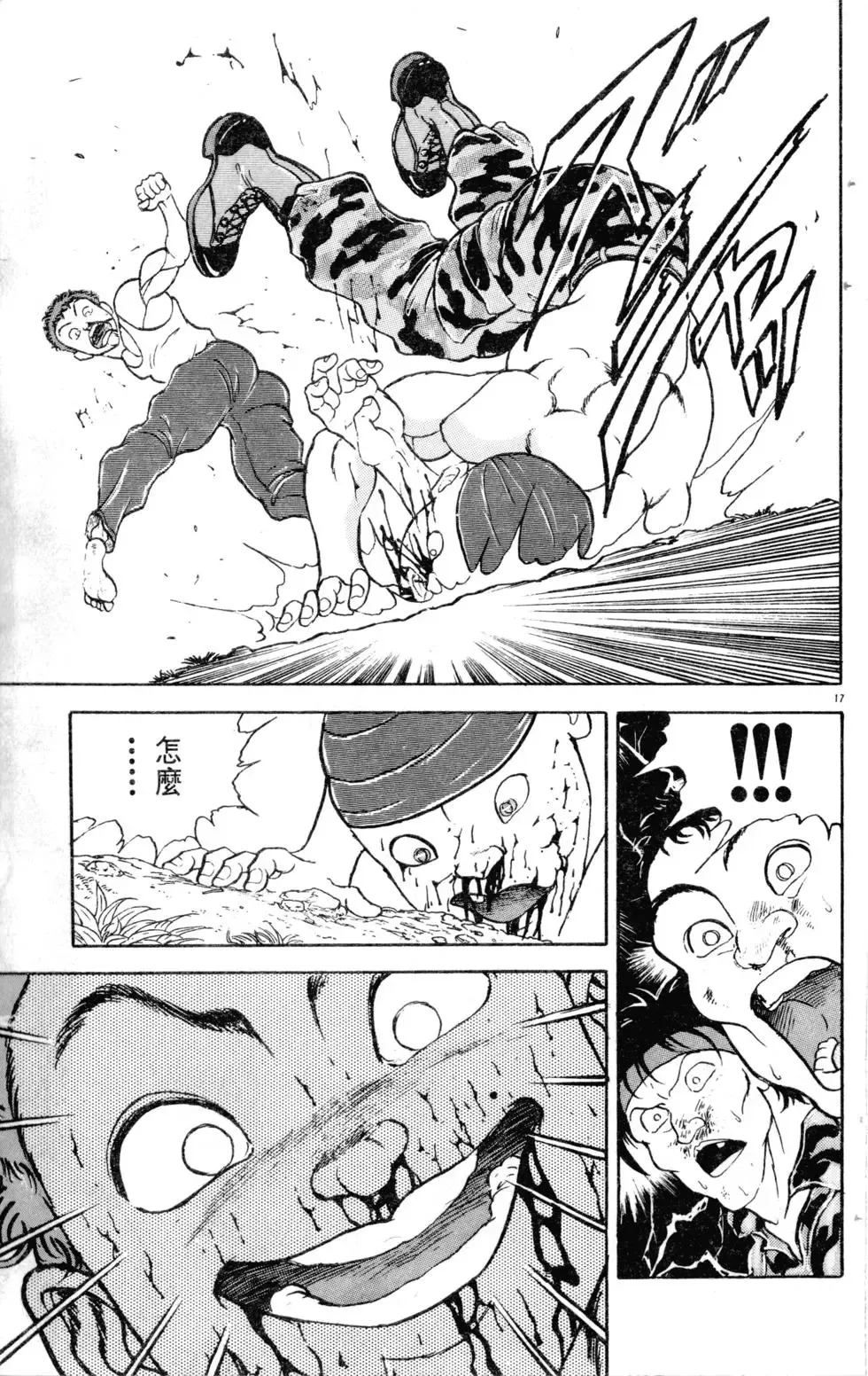 第17卷 第108页