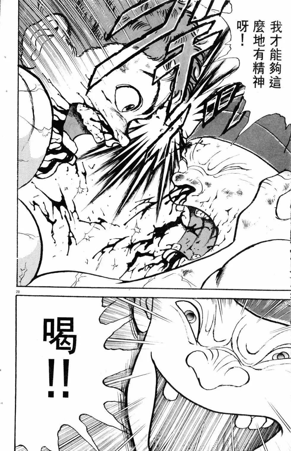 第17卷 第111页