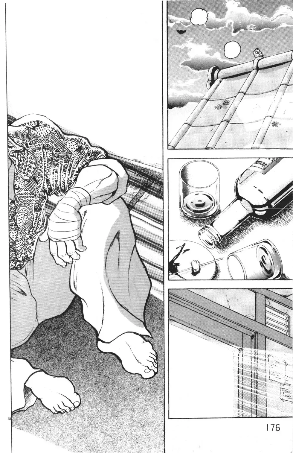 第18卷 第176页
