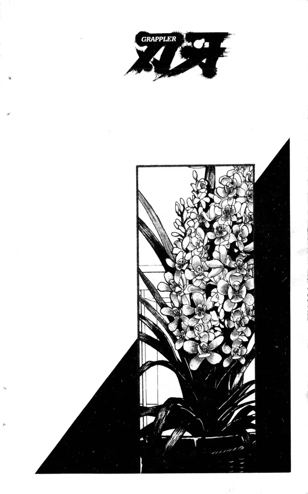 第19卷 第51页