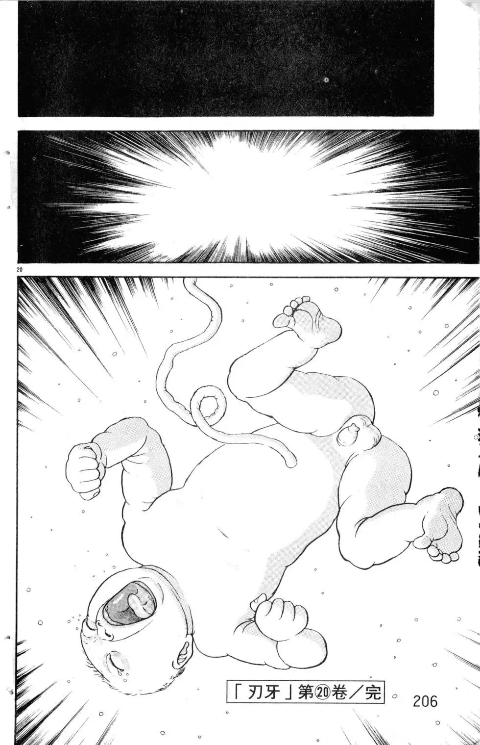 第20卷 第207页
