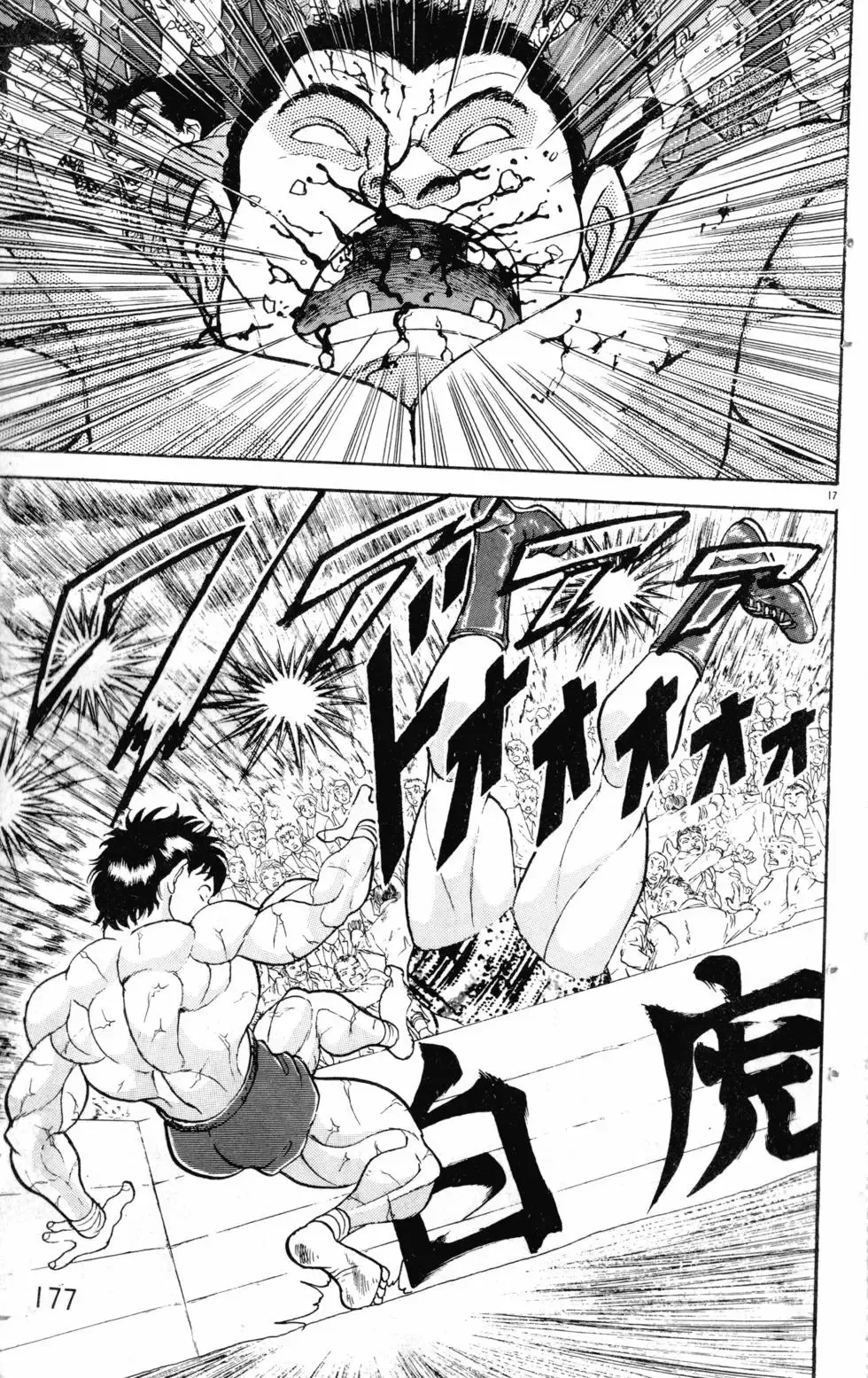 第21卷 第177页