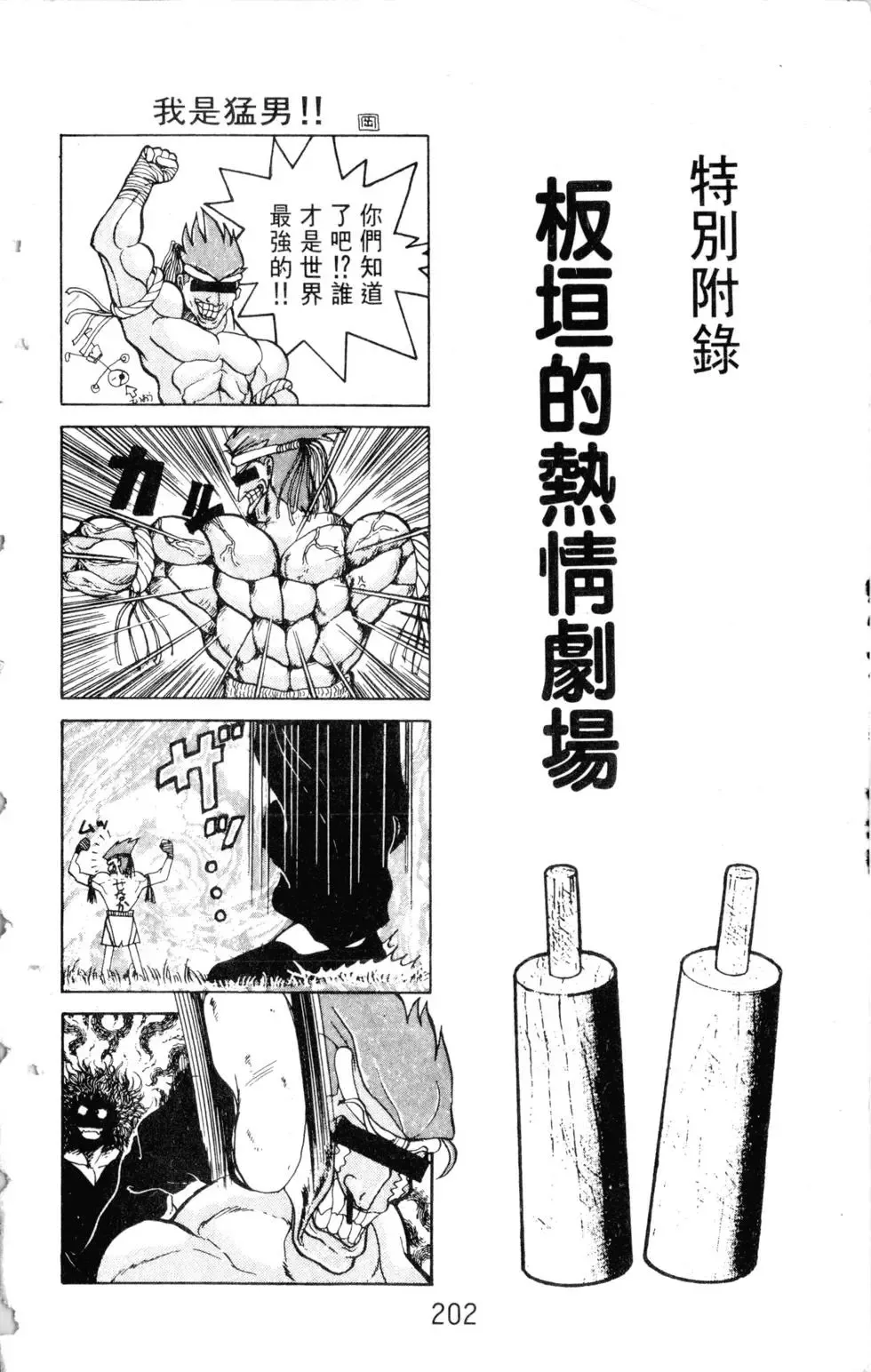 第21卷 第202页