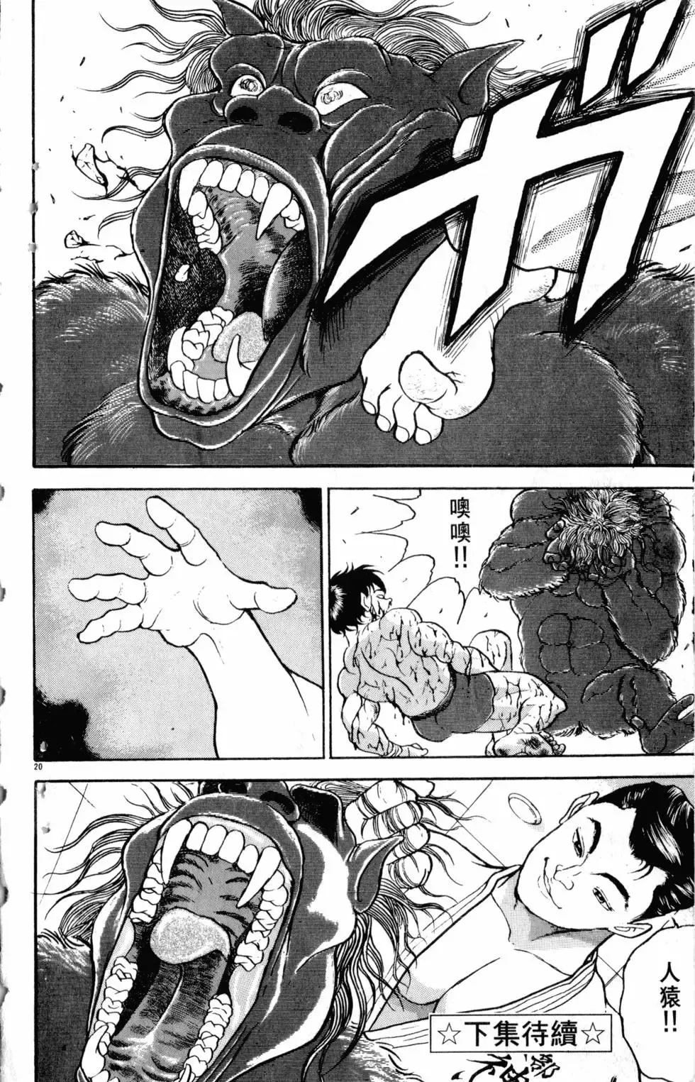 第22卷 第189页