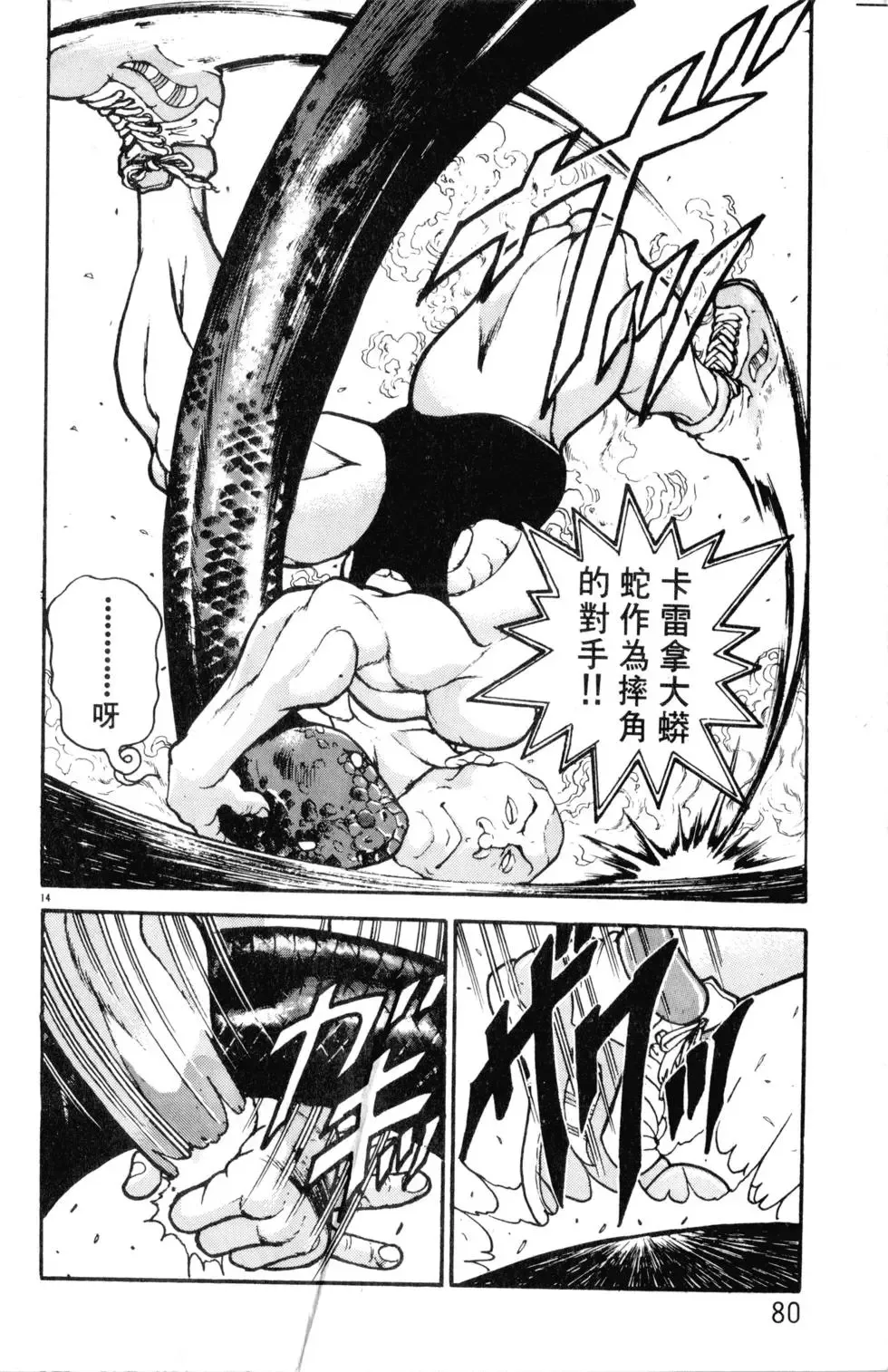 第34卷 第80页