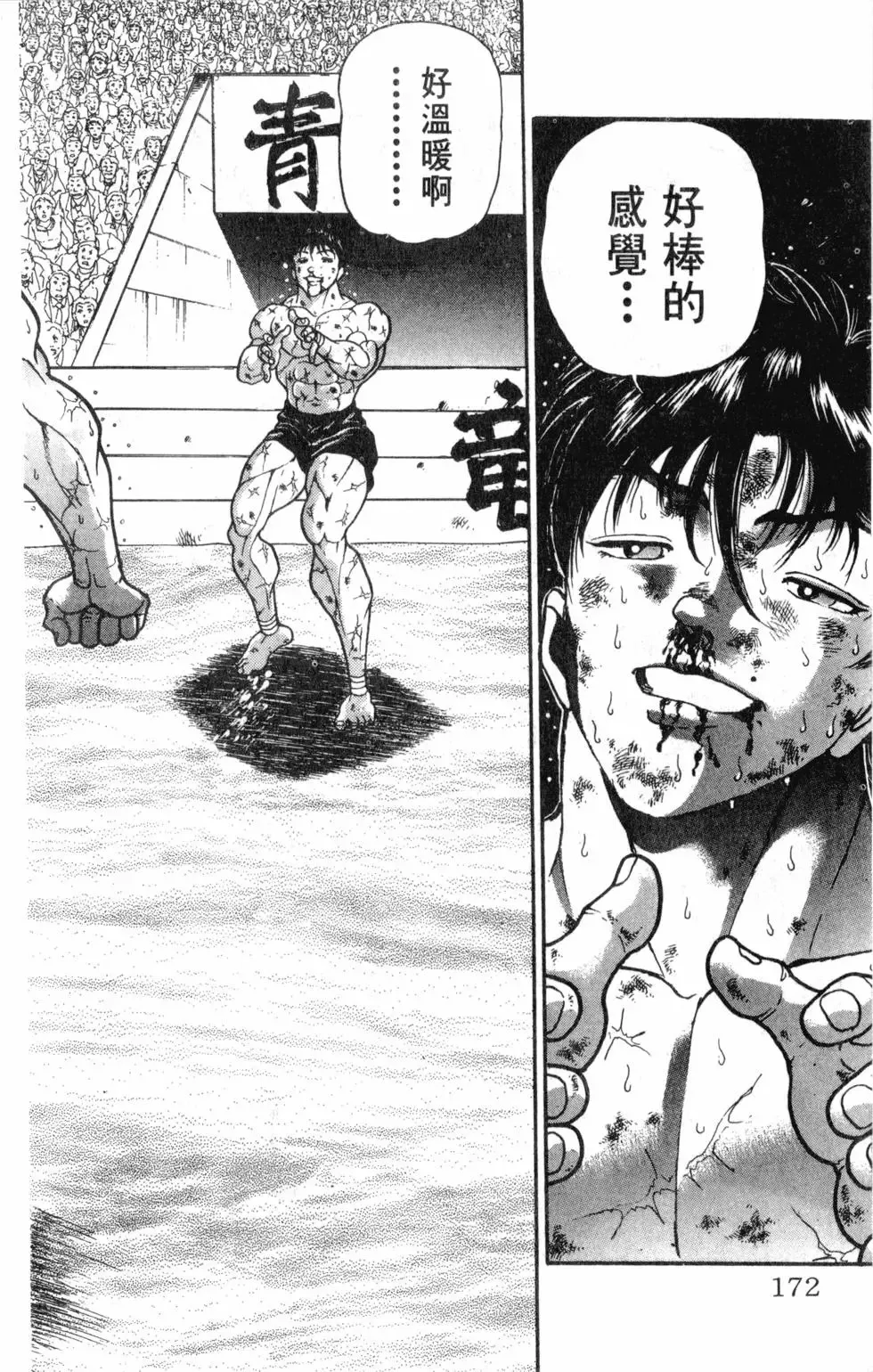 第39卷 第172页