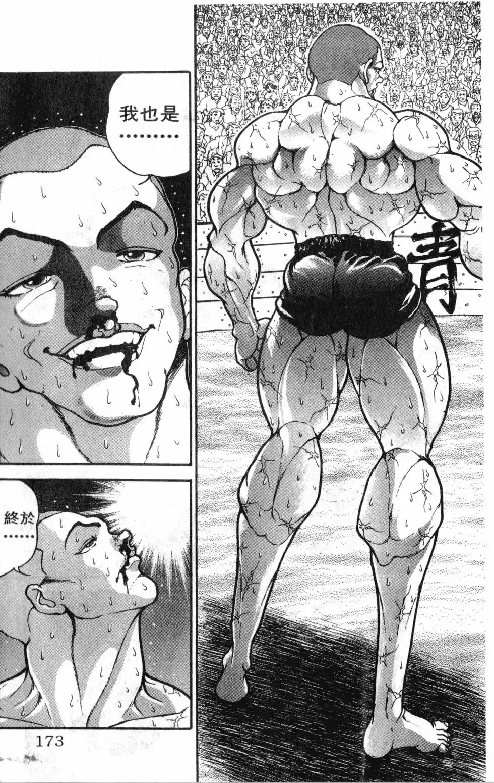 第39卷 第173页