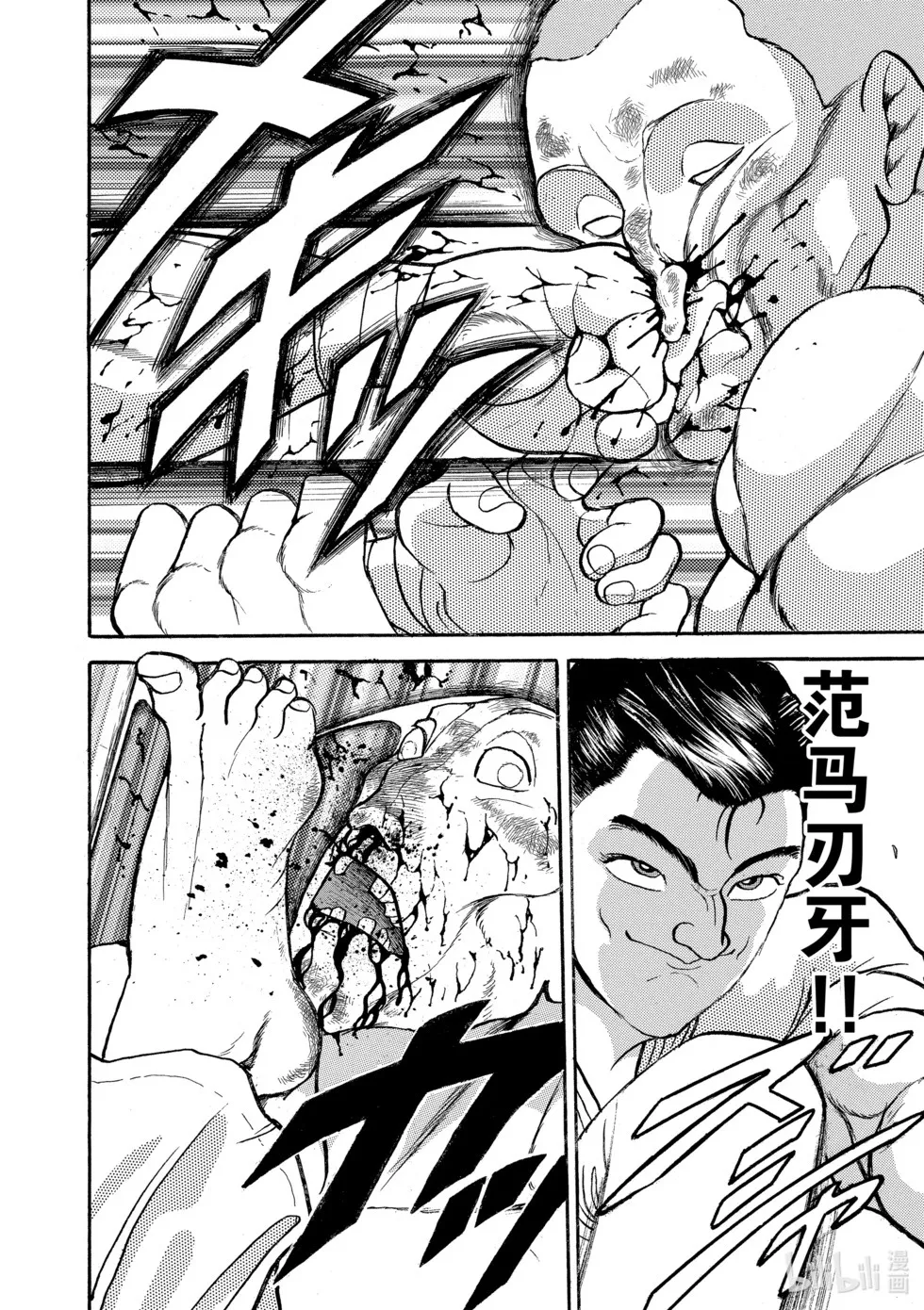 完全版13 第253页