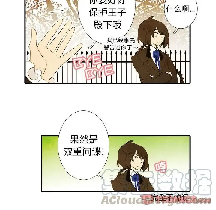 42 第41页