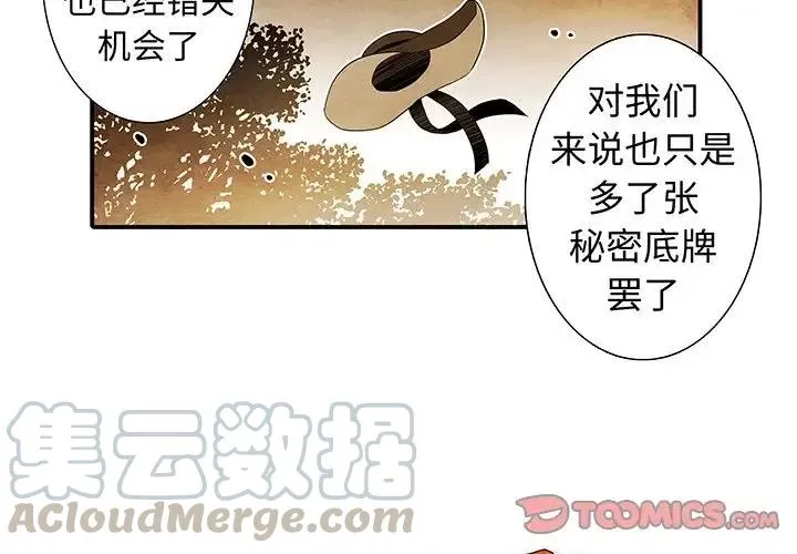 41 第3页