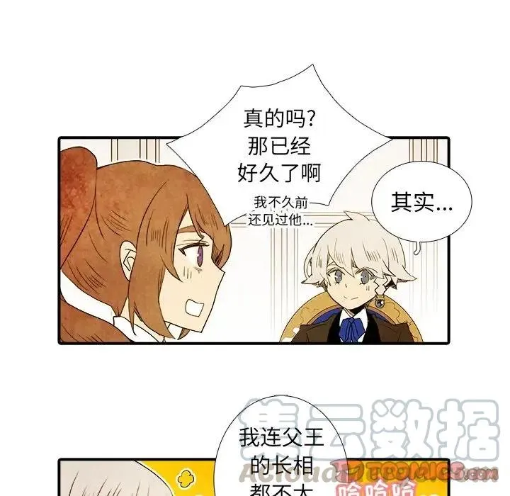 41 第13页