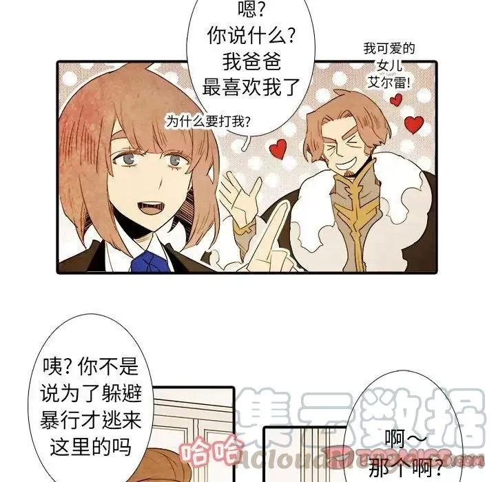 41 第17页