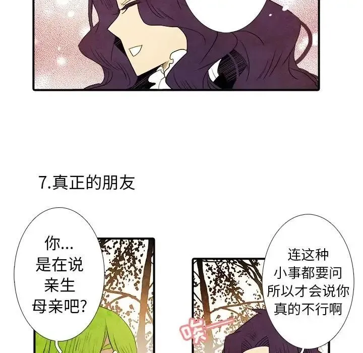41 第30页