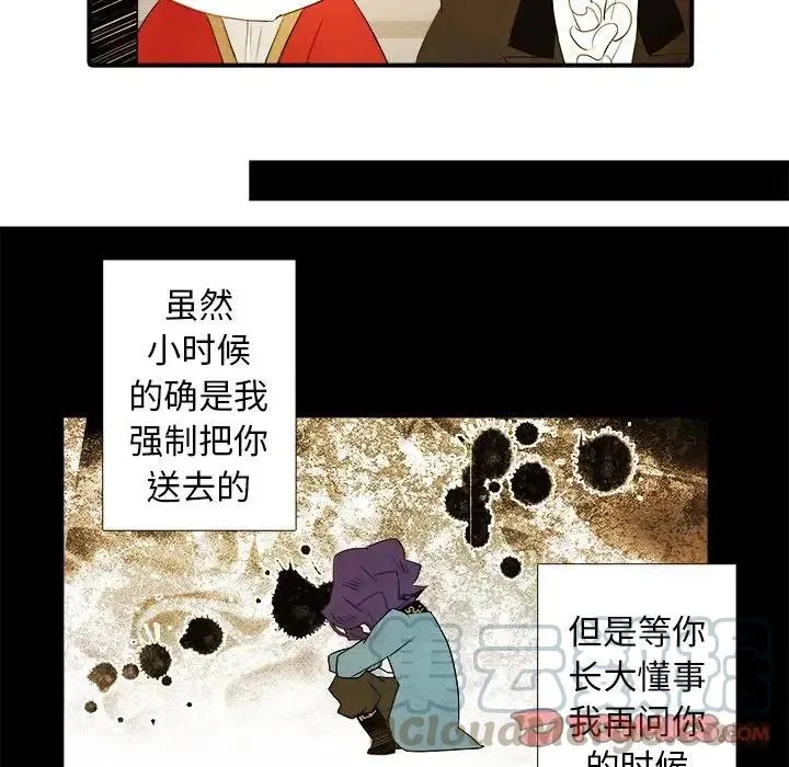 41 第37页