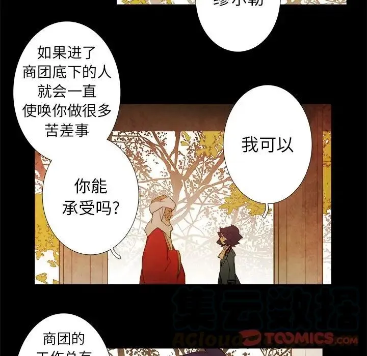 41 第39页