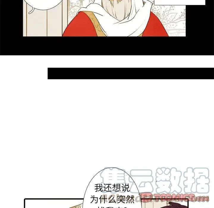 41 第41页