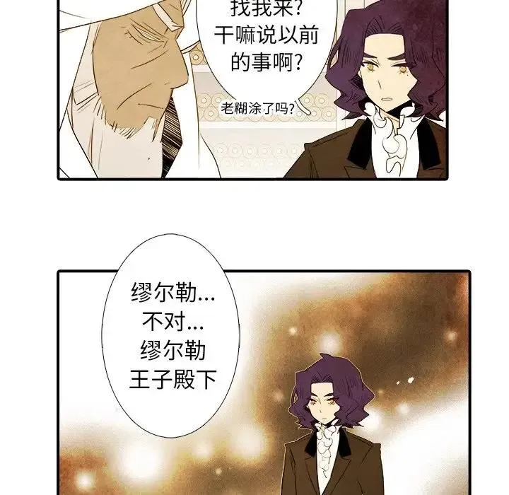41 第42页