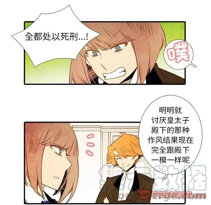 33 第7页