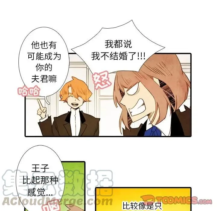 33 第11页