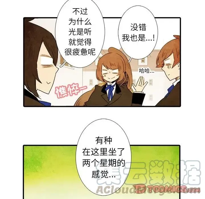 31 第17页