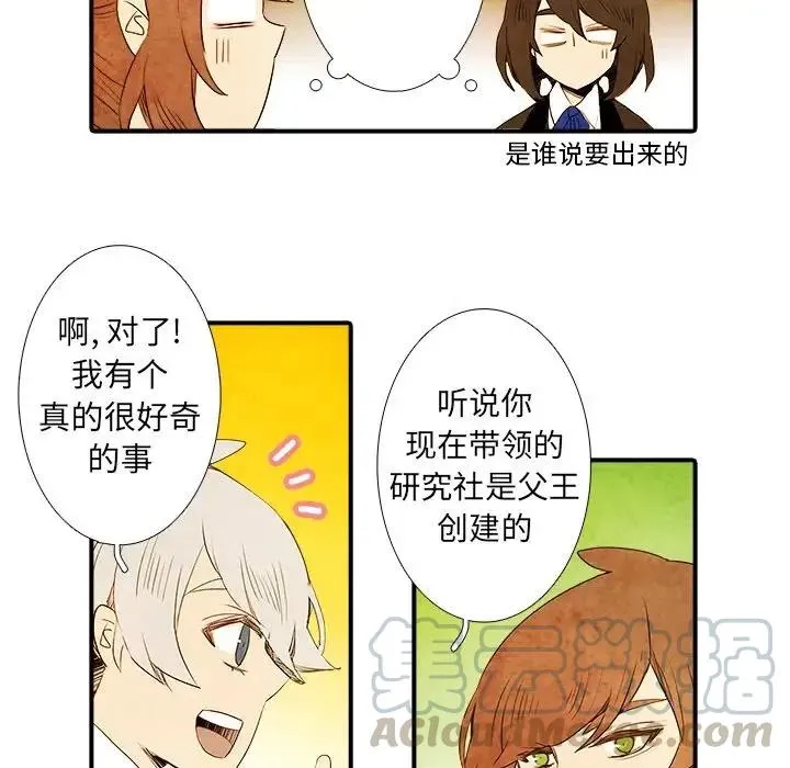 28 第40页