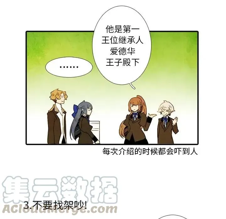 26 第13页