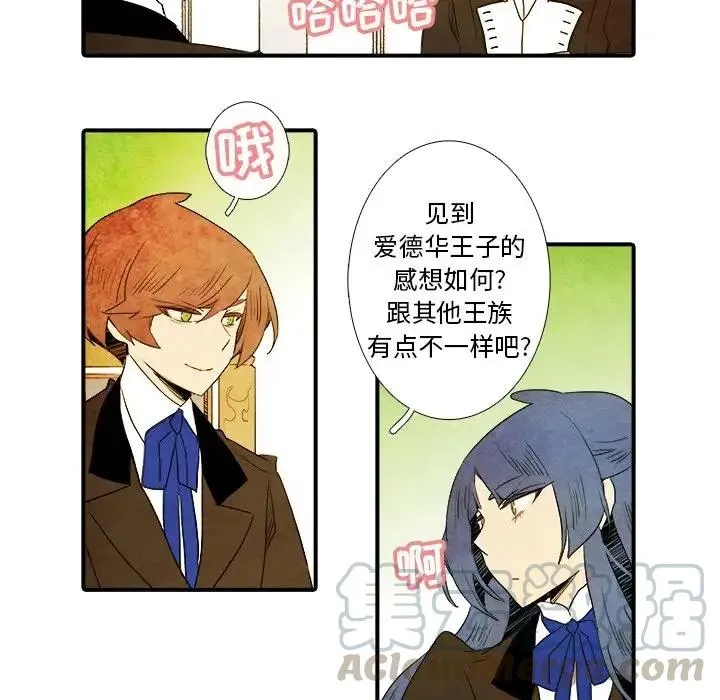 26 第23页