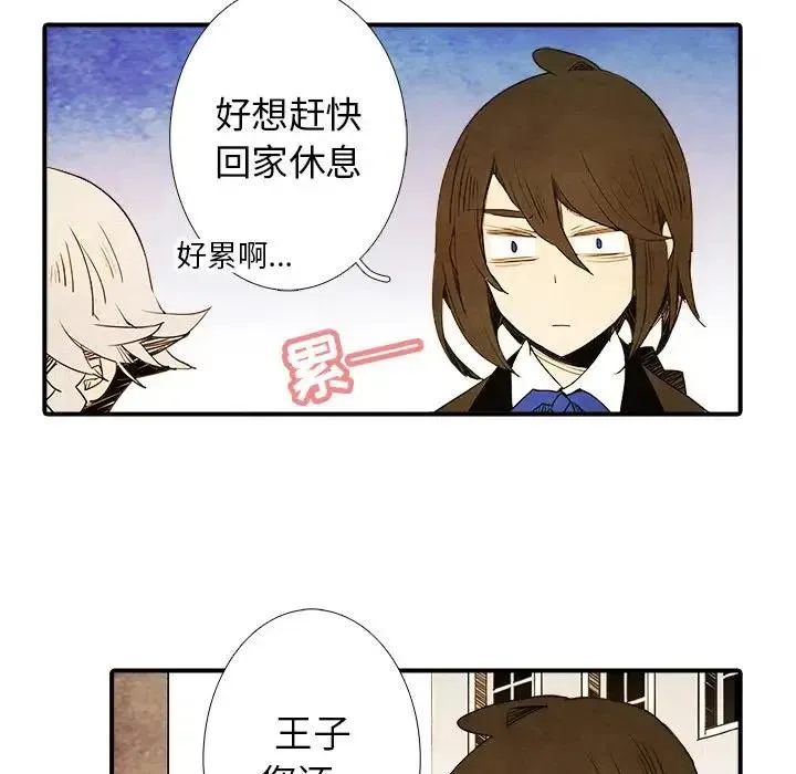 3 第41页
