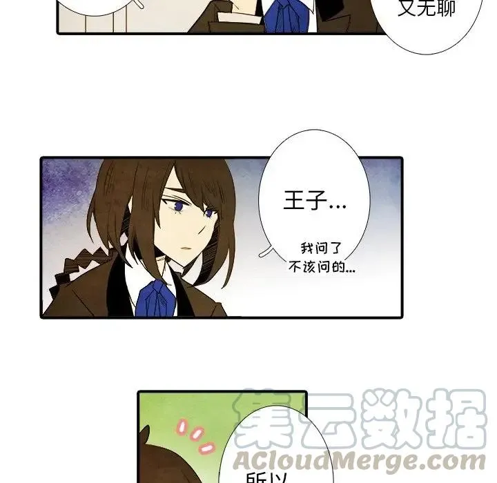 11 第23页