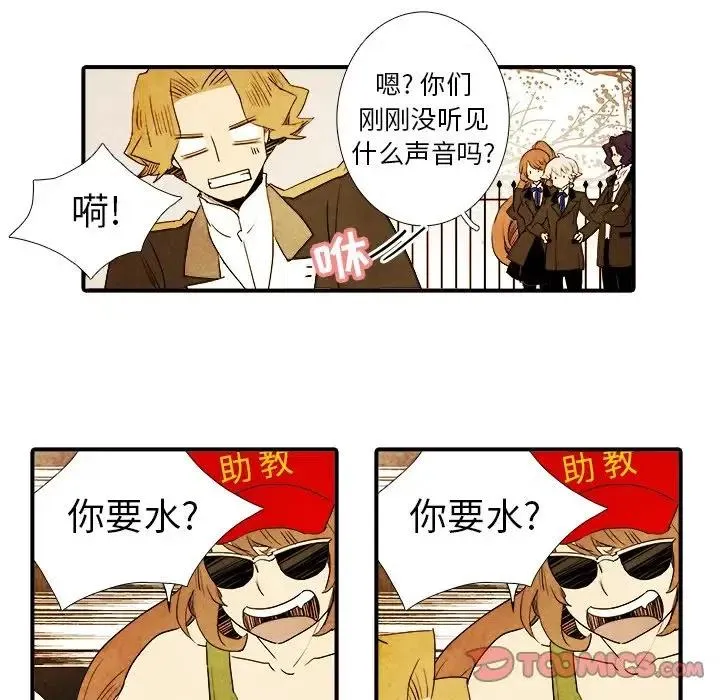13 第8页