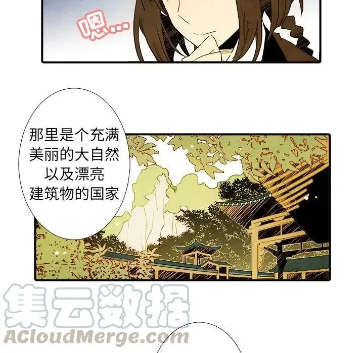 13 第13页