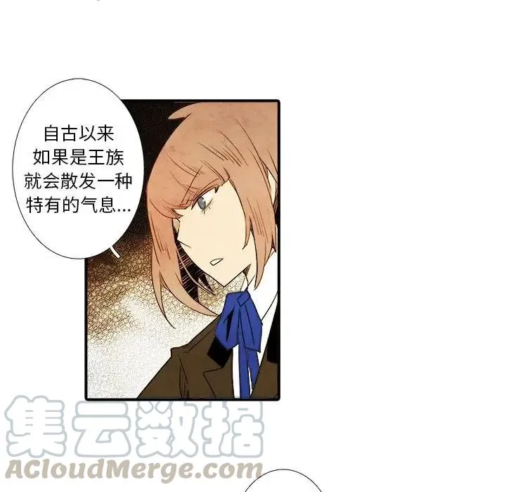 13 第25页