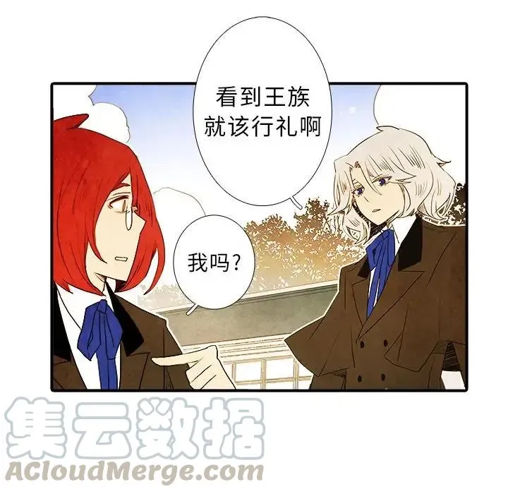 15 第13页