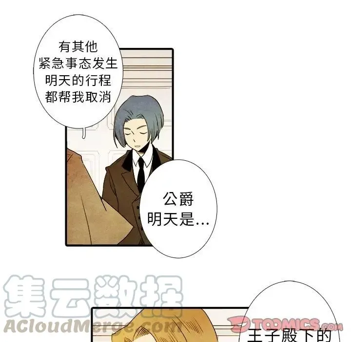 15 第15页