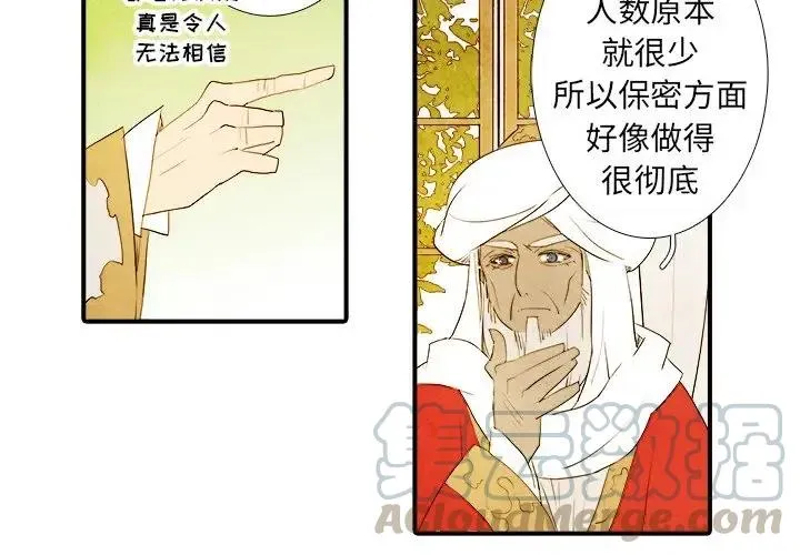 19 第3页