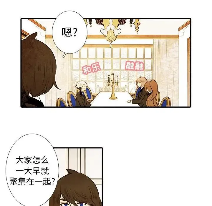 19 第20页