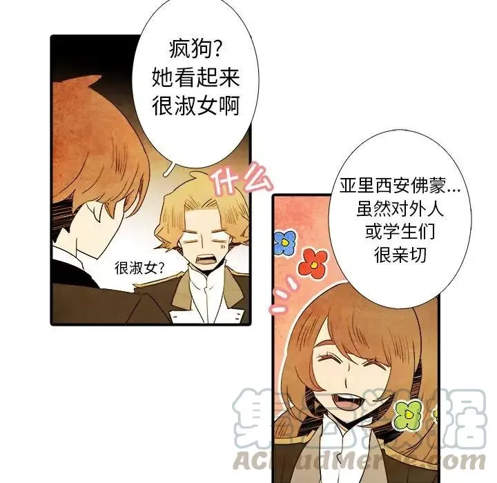 19 第35页