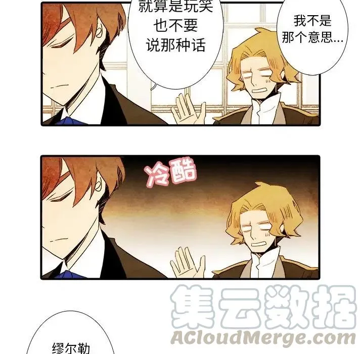 19 第41页