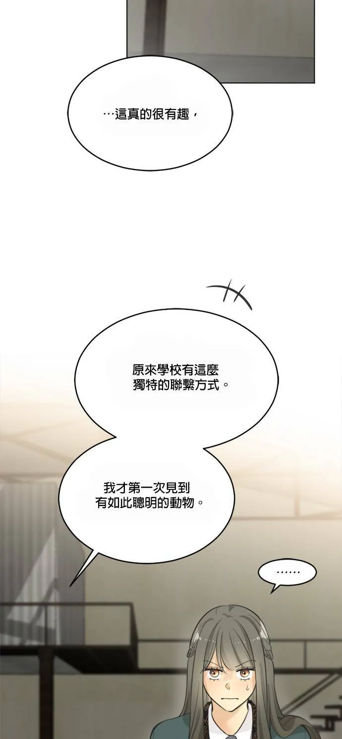 第65话 第39页