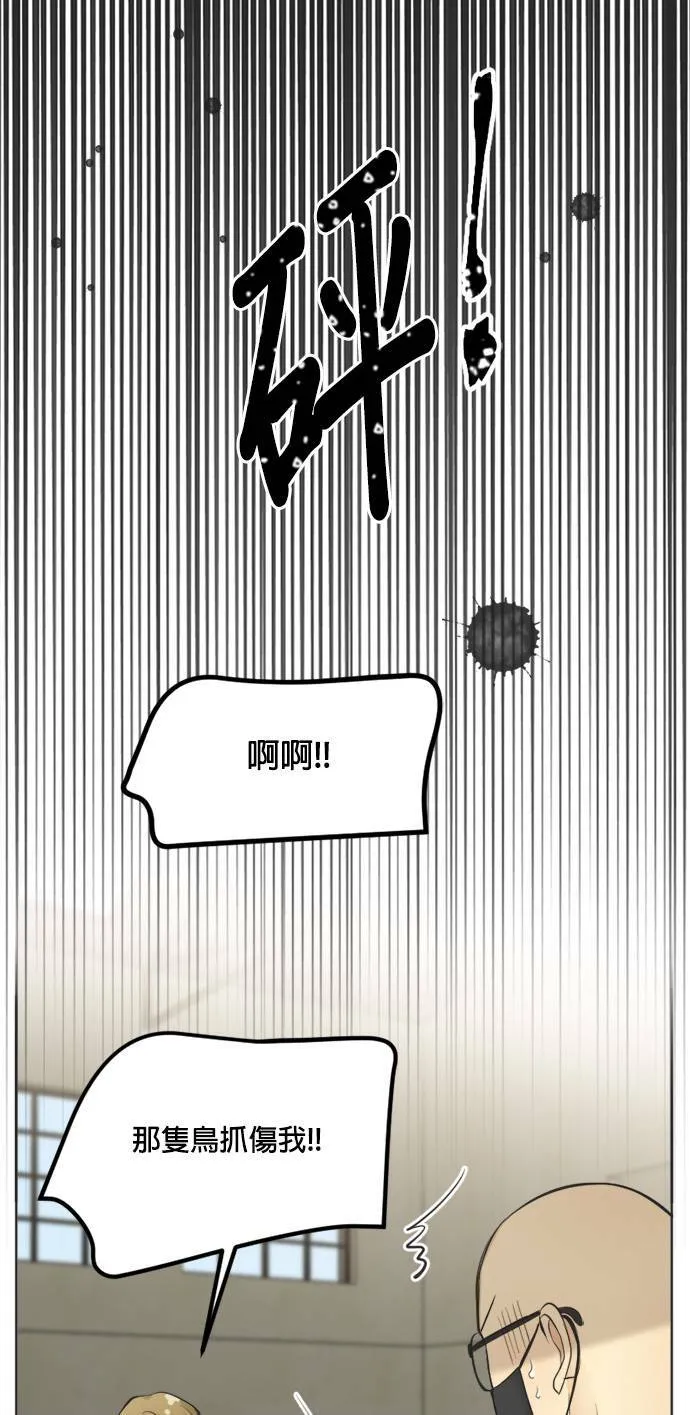 第67话 第29页