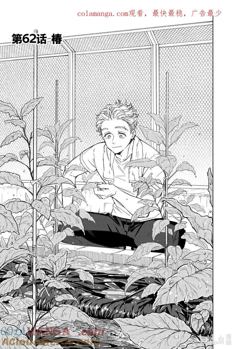 62 椿 第1页