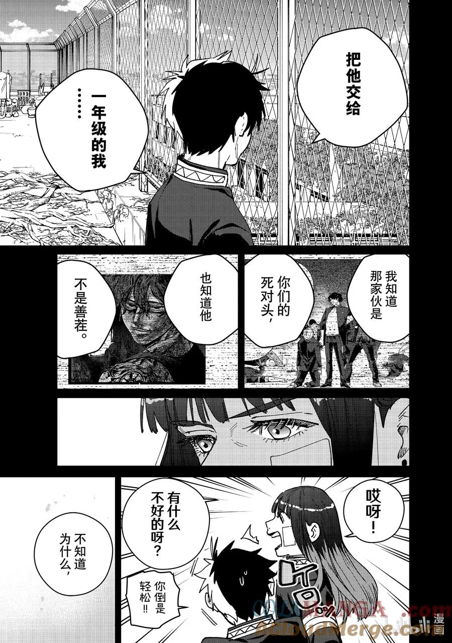 138 开花 第5页