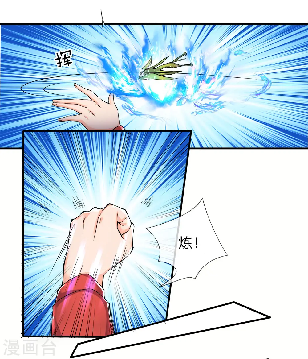 第60话 随手一炼，上等灵丹 第4页