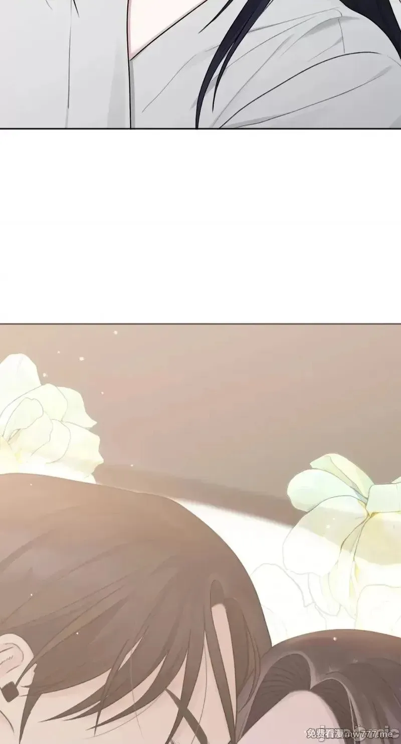 第36话 第35话 第51页