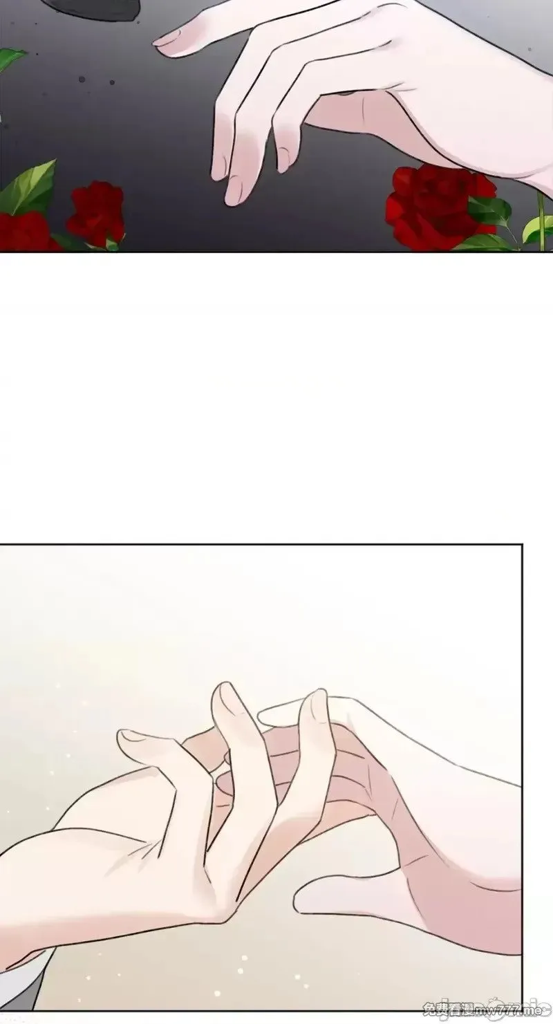 第39话 第38话 第70页
