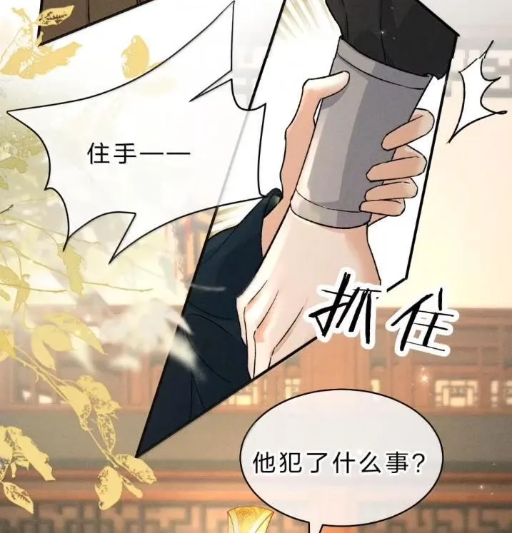 42 朝儿这样的变化，让人着迷 第12页